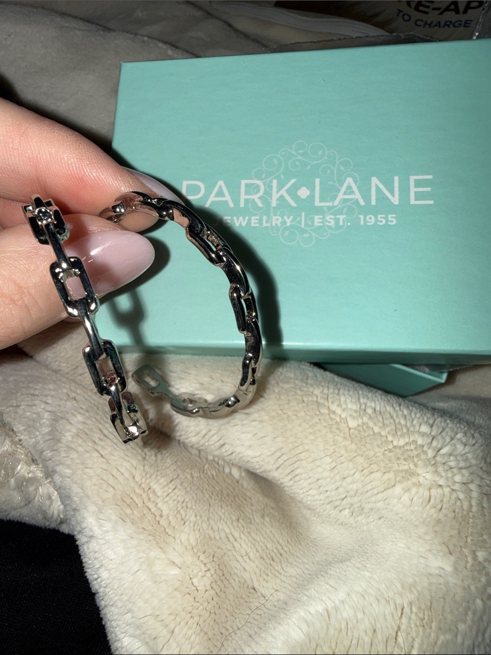 Park Lane Silver Chain-Link womenโs earrings - Silver